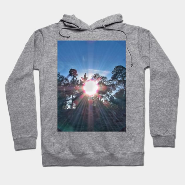 Dazzling sunlight Hoodie by Simple pleasures 